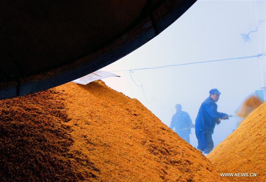 #CHINA-SHANXI-YUANQU-WINE MAKING (CN)