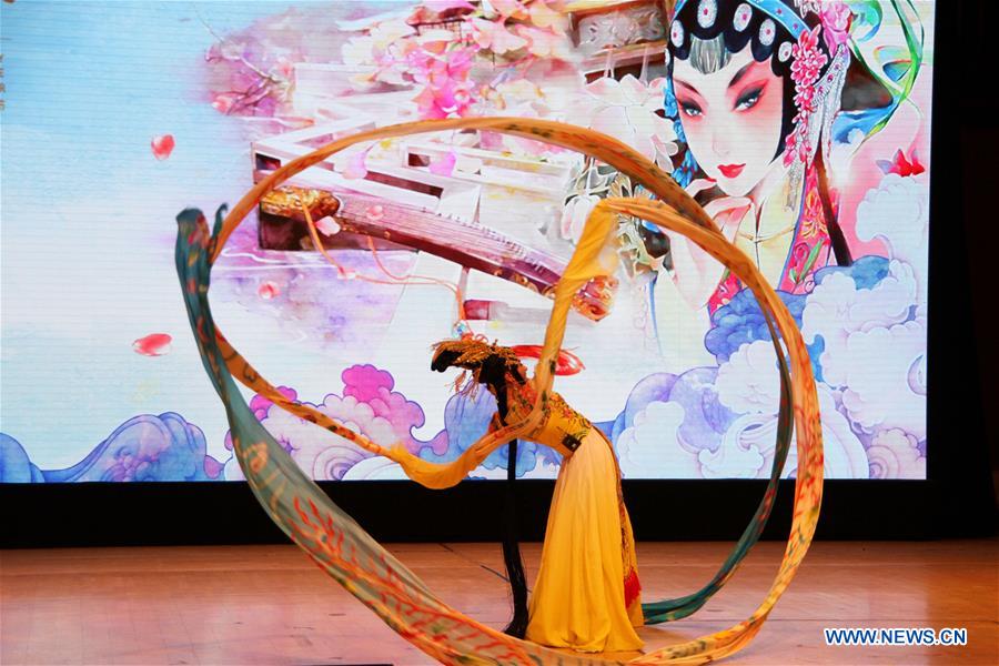 DENMARK-COPENHAGEN-GALA PERFORMANCE-CHINESE SPRING FESTIVAL