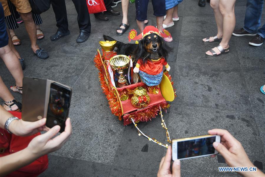 SINGAPORE-CHINATOWN-DOG COSTUME COMPETITION