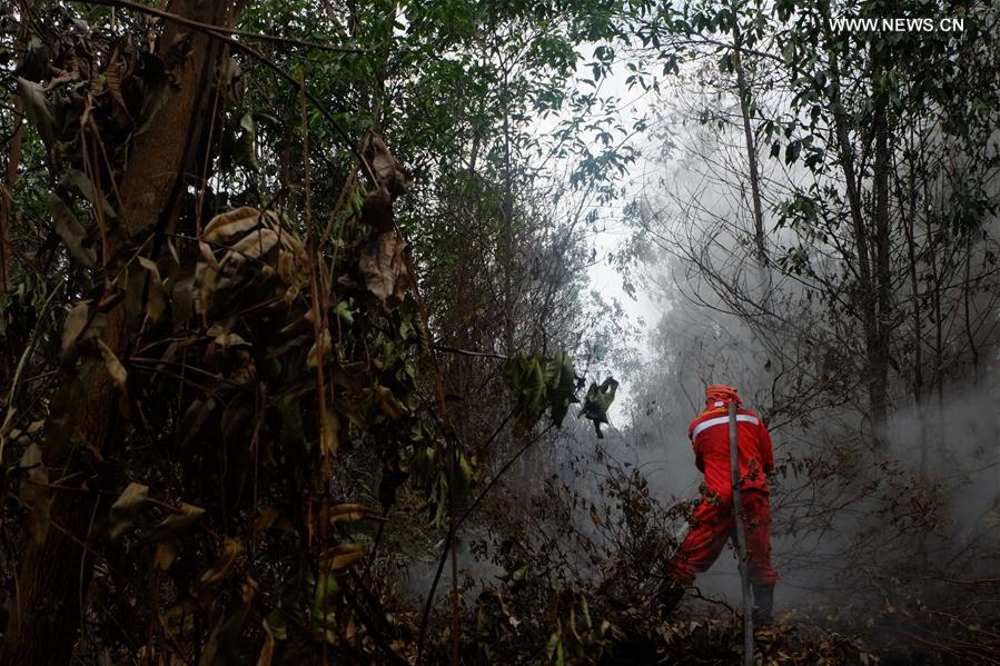 INDONESIA-RIAU-PEAT LAND FIRE