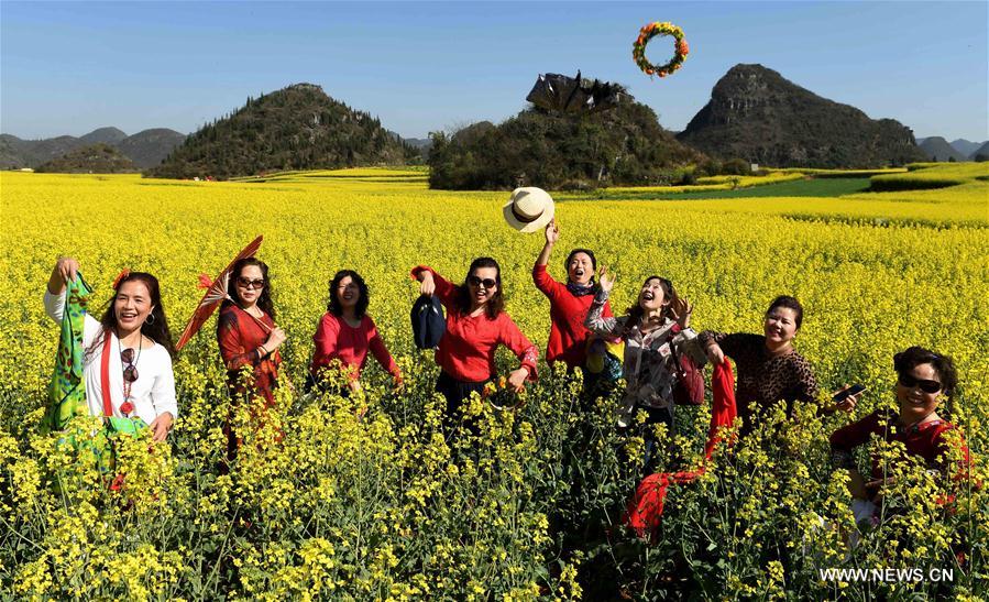 CHINA-YUNNAN-LUOPING-RAPE FLOWER(CN)