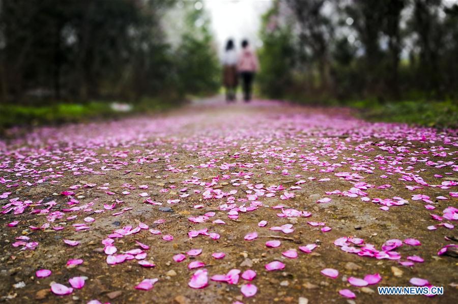 #CHINA-SPRING VIEWS (CN)