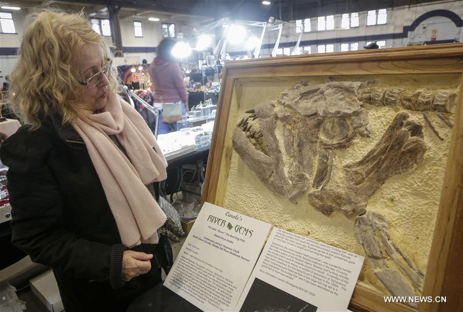 CANADA-VANCOUVER-GEM SHOW