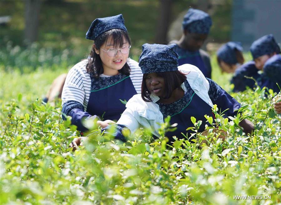 CHINA-JIANGSU-FOREIGN STUDENT-TEA GARDEN(CN)