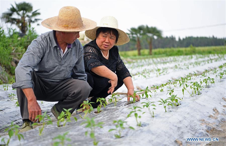 CHINA-JIANGXI-FENGXIN-RURAL ENTREPRENEURSHIP STORY 