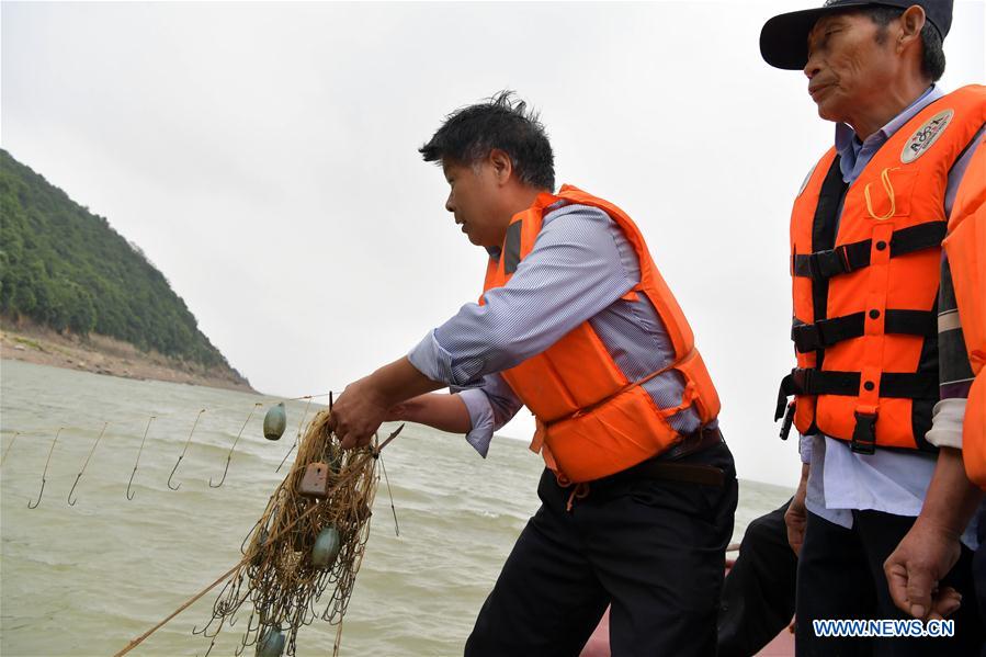 CHINA-JIANGXI-NANCHANG-FINLESS PORPOISES-PROTECTION (CN)