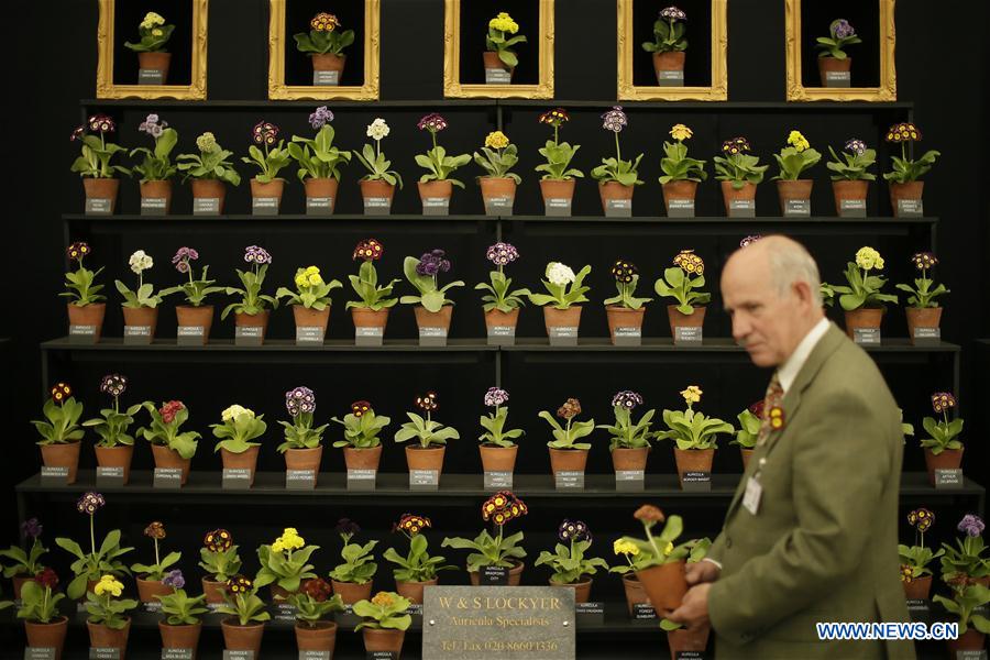 BRITAIN-LONDON-CHELSEA FLOWER SHOW