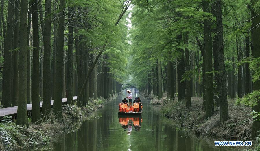 #CHINA-JIANGSU-FOREST-TOURISM(CN)