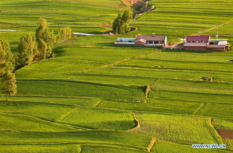 #CHINA-GANSU-SCENERY(CN)