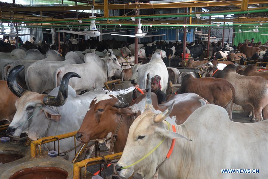 BANGLADESH-DHAKA-SACRIFICIAL-ANIMALS