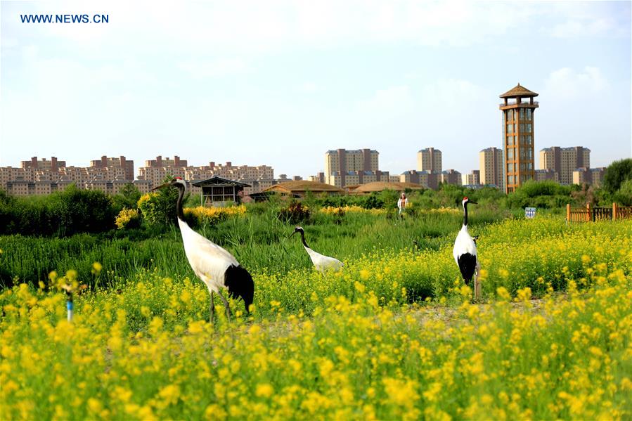 #CHINA-WETLAND PROTECTION (CN)