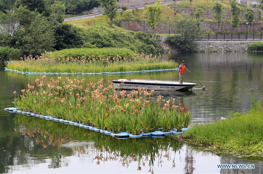 #CHINA-ARTIFICIAL FLOATING ISLAND-WATER PURIFICATION (CN)