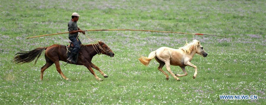 #CHINA-INNER MONGOLIA-TRADITIONAL ACTIVITY (CN)