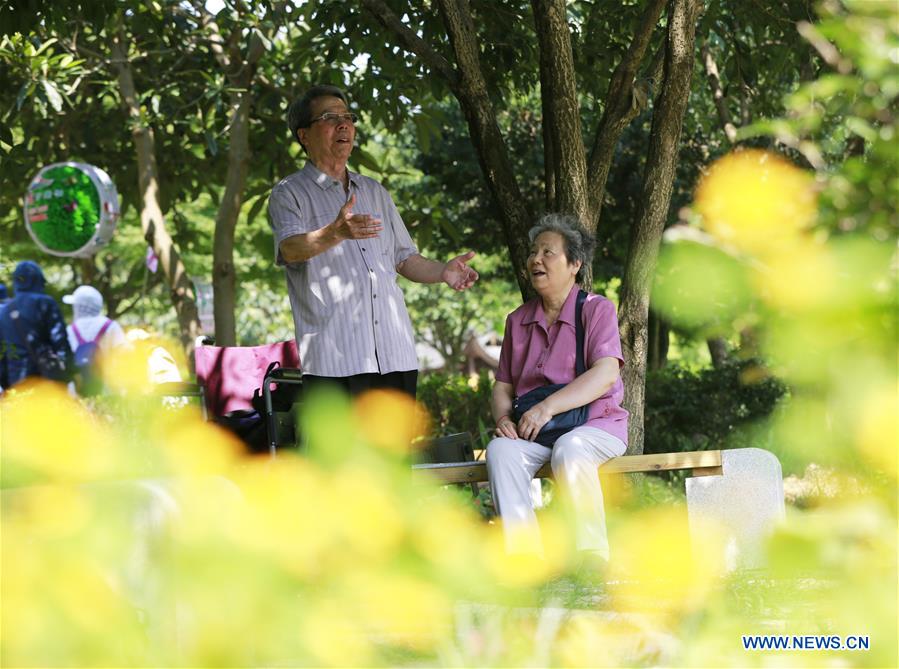 #CHINA-HUNAN-ZHANGJIAJIE-AGED COUPLE-MUSIC (CN)