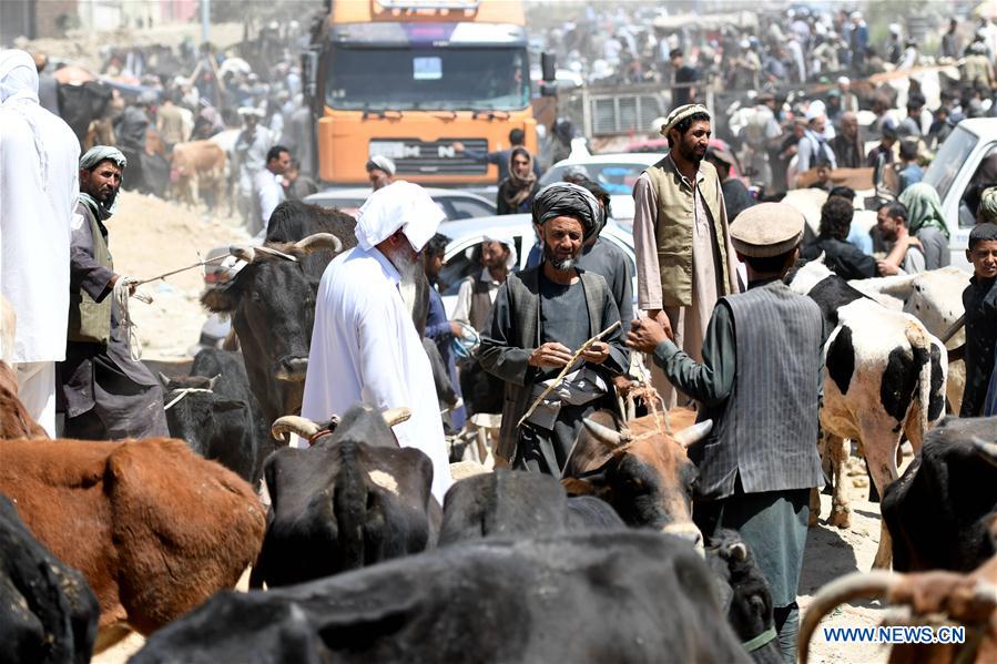 AFGHANISTAN-KABUL-EID AL-ADHA 