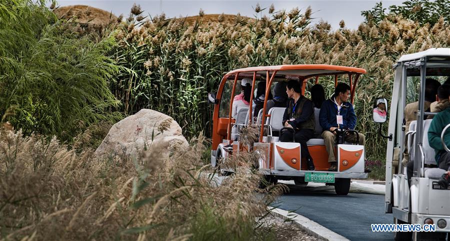 CHINA-GANSU-ZHANGYE-WETLAND (CN)