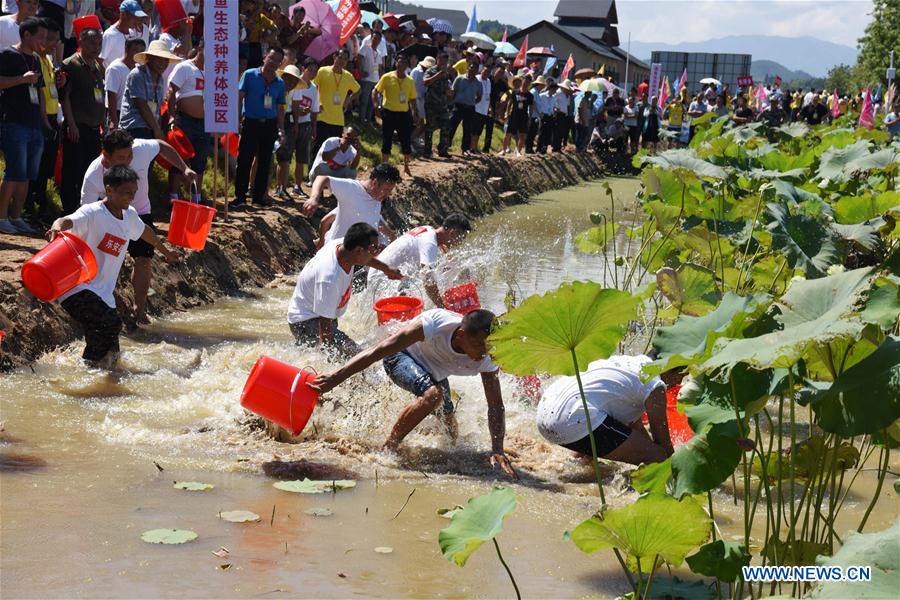 CHINA-JIANGXI-NANFENG-HARVEST (CN)