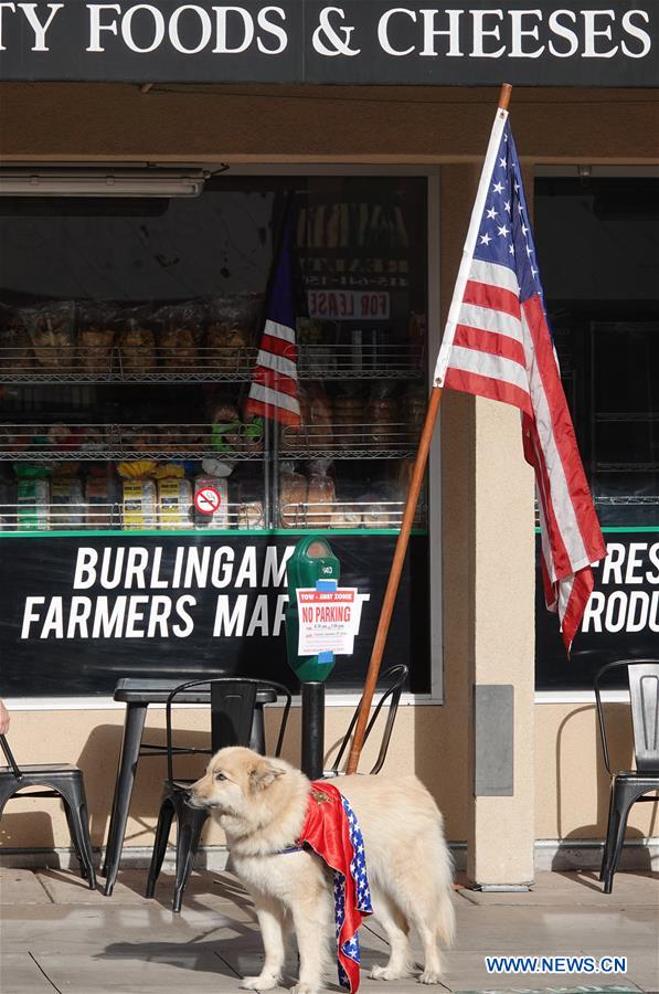 U.S.-CALIFORNIA-BURLINGAME-PET DOG-PARADE