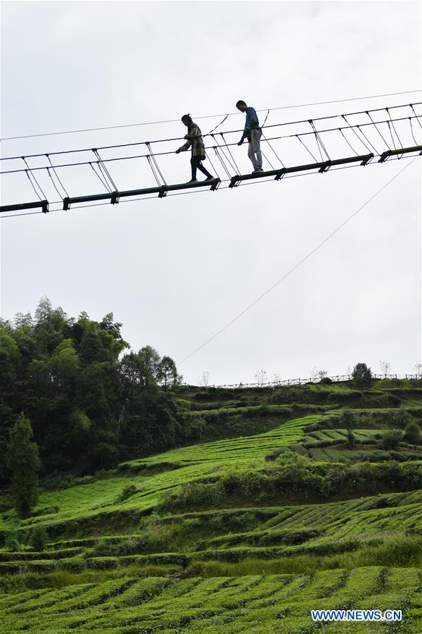 #CHINA-HUBEI-XUAN'EN-TEA GARDEN (CN)