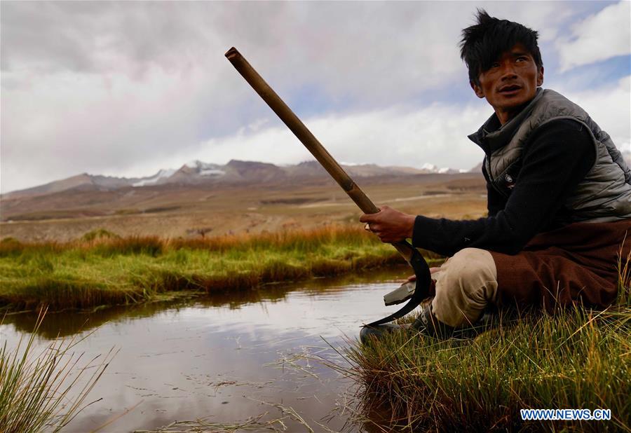 CHINA-TIBET-LHASA-MOWING (CN)