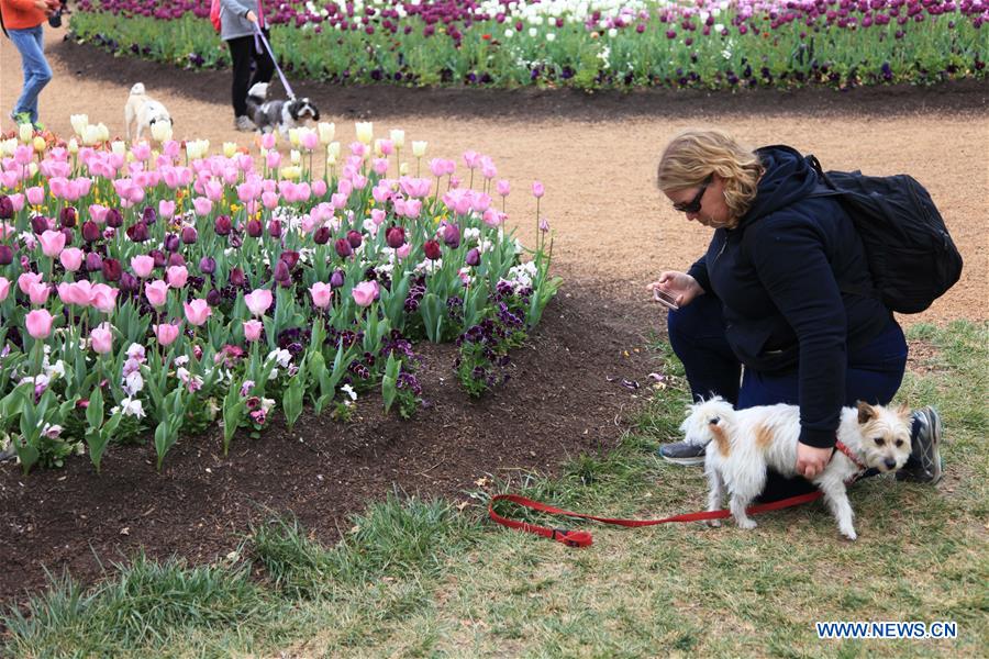 AUSTRALIA-CANBERRA-FLORIADE-CLOSE