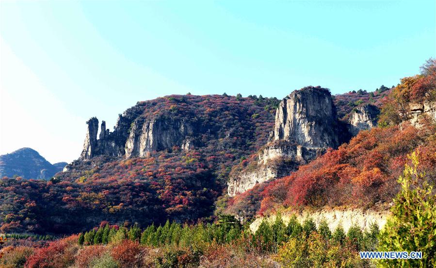 #CHINA-HEBEI-PINGSHAN-AUTUMN SCENERY (CN)