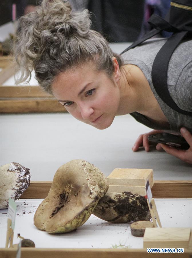 CANADA-VANCOUVER-MUSHROOM SHOW