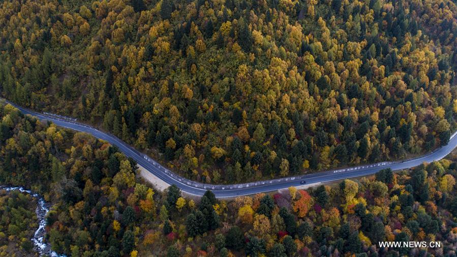 CHINA-TIBET-AUTUMN-SCENERY (CN)