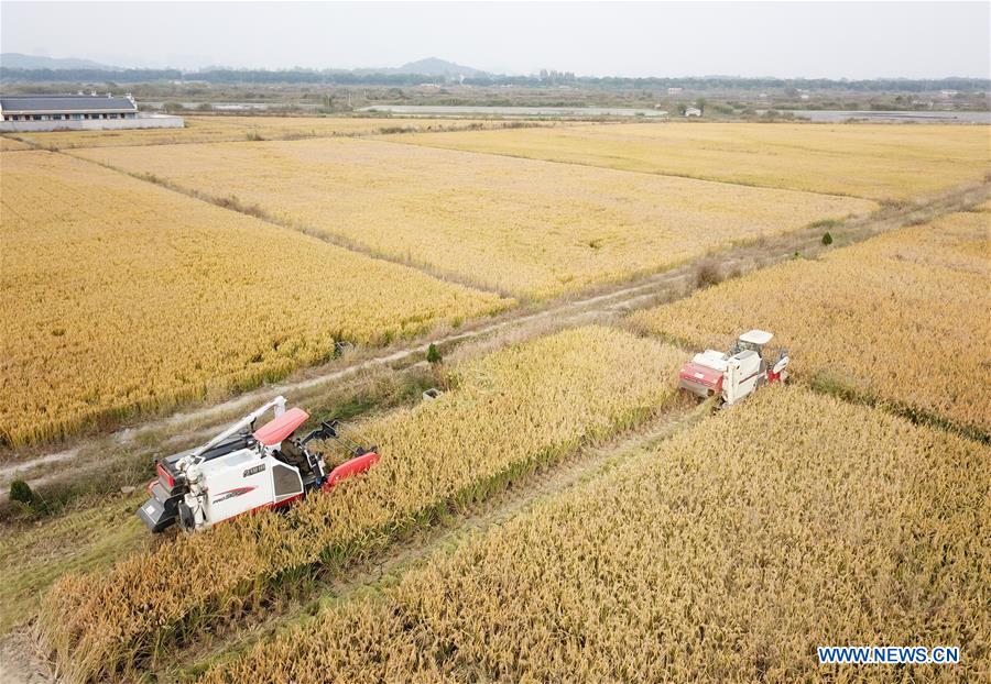 CHINA-ZHEJIANG-HUZHOU-RECYCLING AGRICULTURE (CN)