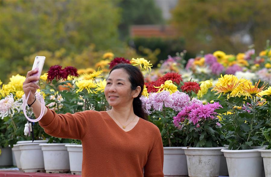 CHINA-JIANGXI-NANCHANG-CHRYSANTHEMUM SHOW (CN)