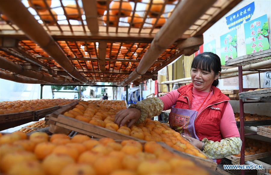 CHINA-GUANGXI-FRUIT INDUSTRY (CN)