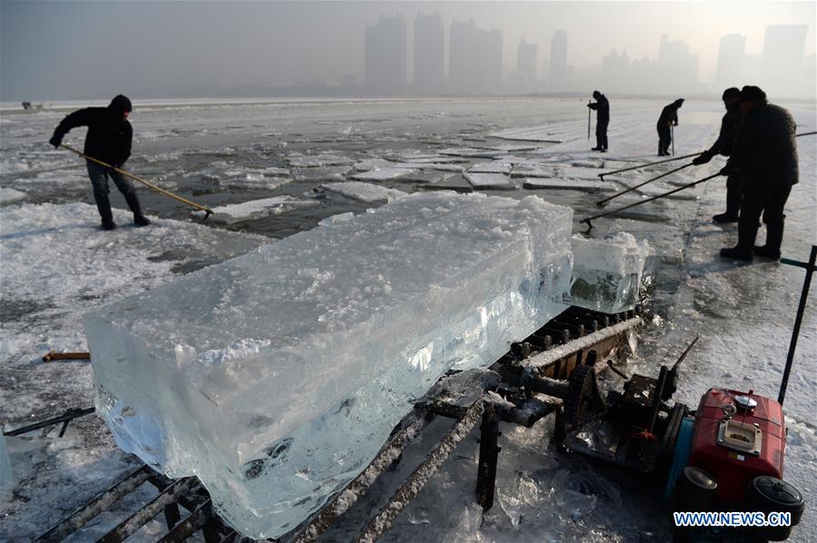 CHINA-HEILONGJIANG-HARBIN-ICE COLLECTING (CN)