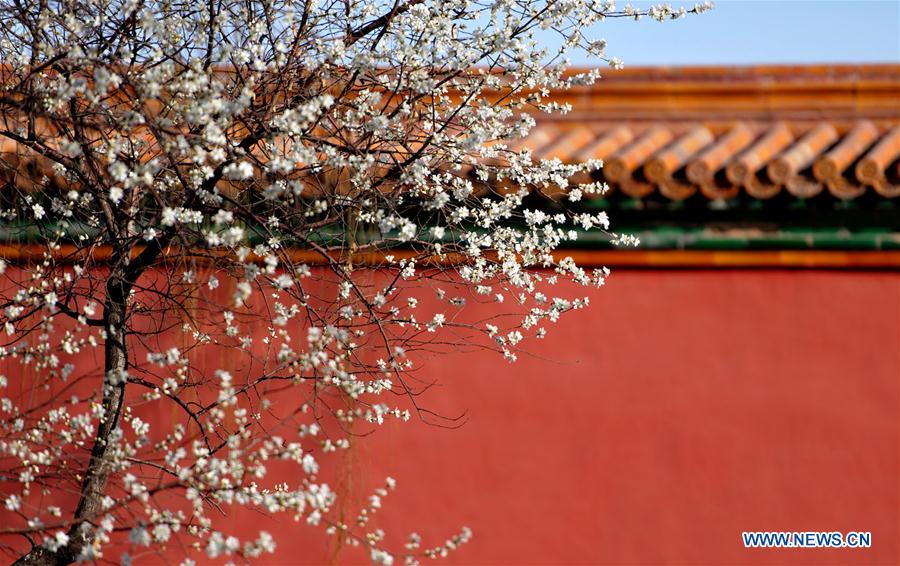 (InPalaceMuseum)CHINA-BEIJING-PALACE MUSEUM-FLOWERS (CN)  