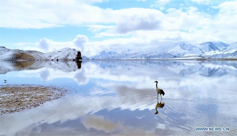 (InTibet) CHINA-TIBET-PICTURE OF 2018 (CN)