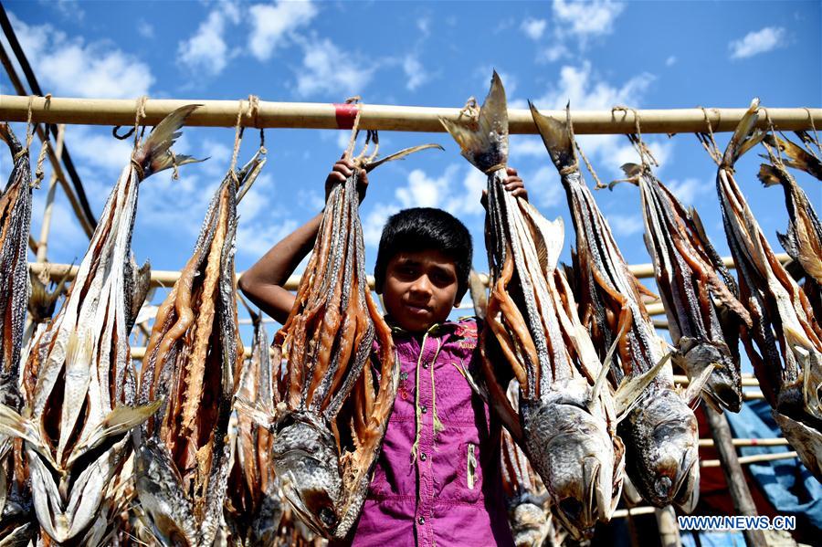 BANGLADESH-COX'S BAZAR-FISH DRYING