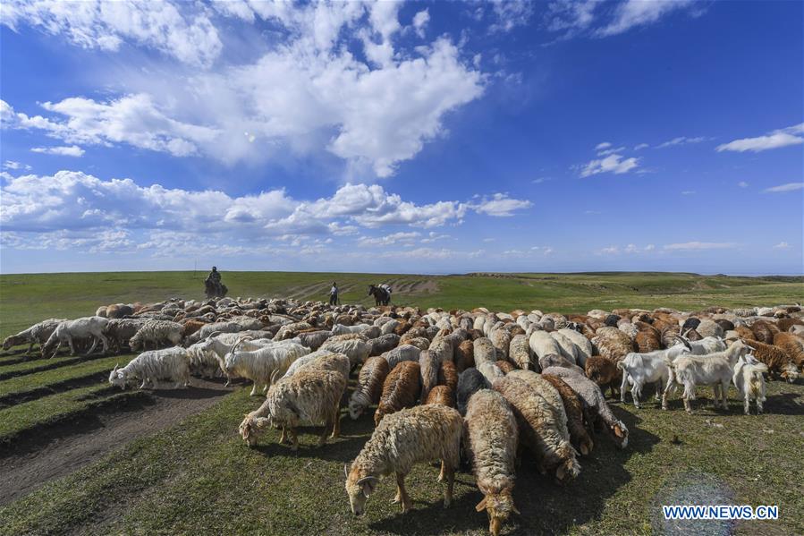 Xinhua Headlines: Chinese economy powering ahead, fulfilling 2018 targets