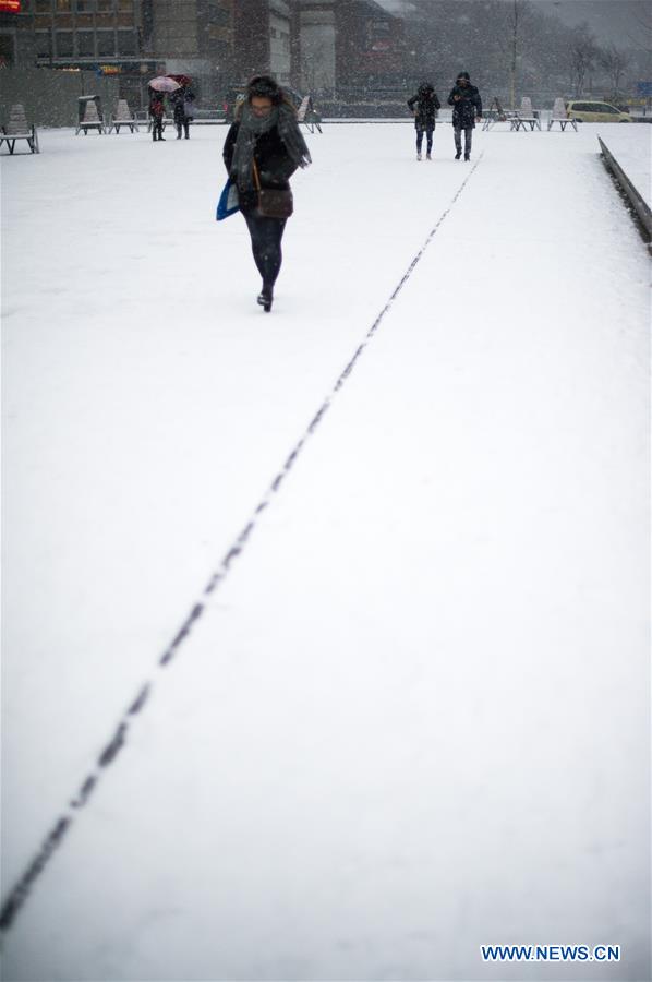 GERMANY-DUISBURG-SNOWFALL