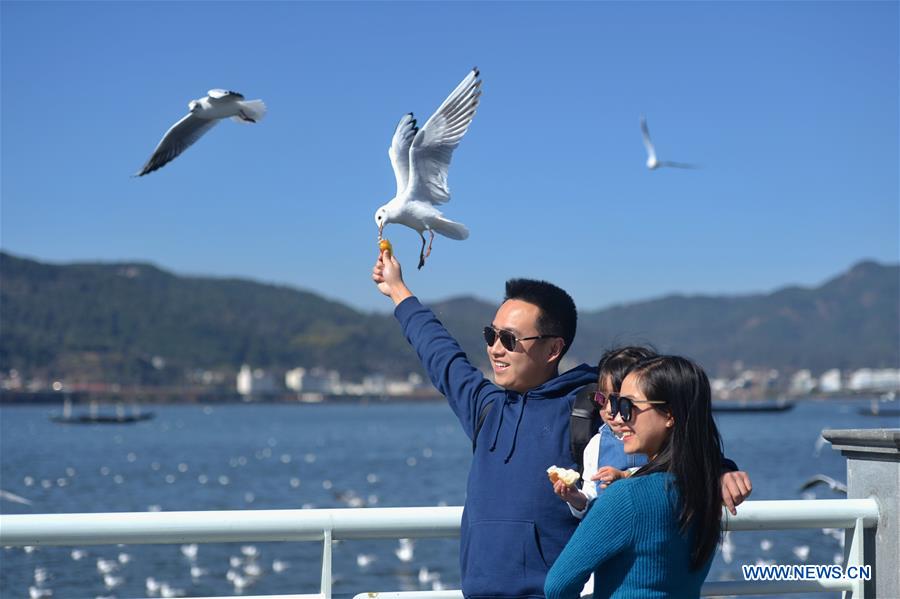 CHINA-KUNMING-SPRING FESTIVAL-BLACK-HEADED GULLS (CN)