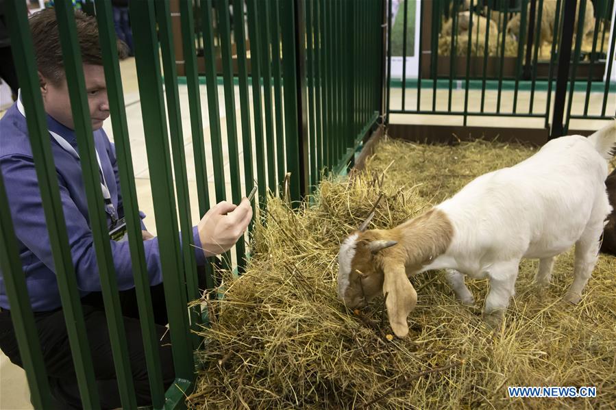 RUSSIA-MOSCOW-AGROFARM 2019