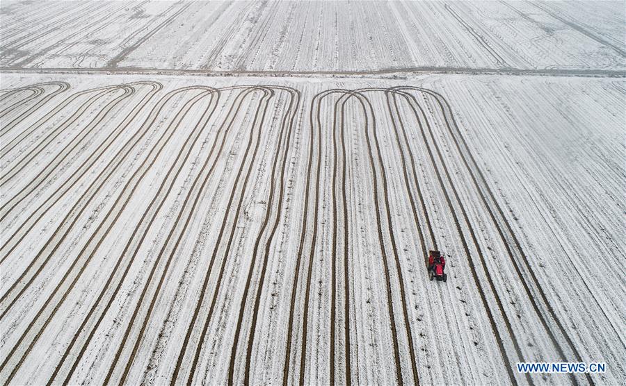 #CHINA-JIANGSU-SNOW-FARMLAND (CN)