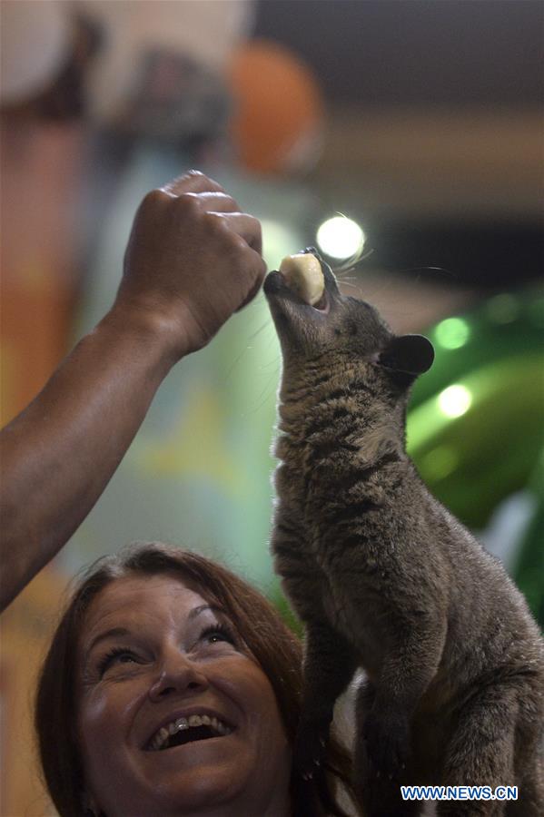 INDONESIA-JAKARTA-PET SHOW