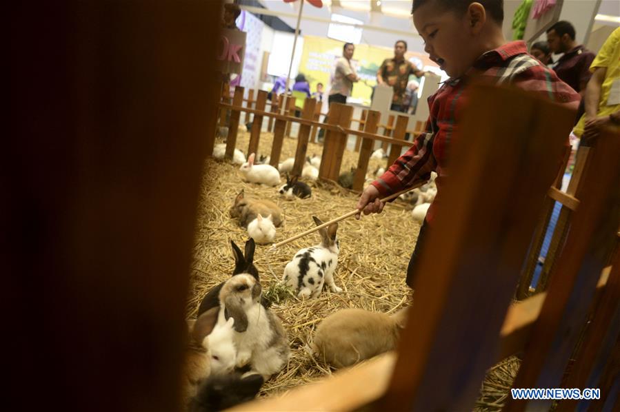 INDONESIA-JAKARTA-PET SHOW