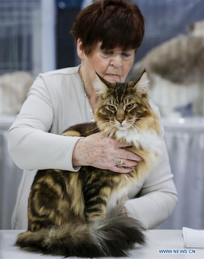 CANADA-VANCOUVER-CAT SHOW