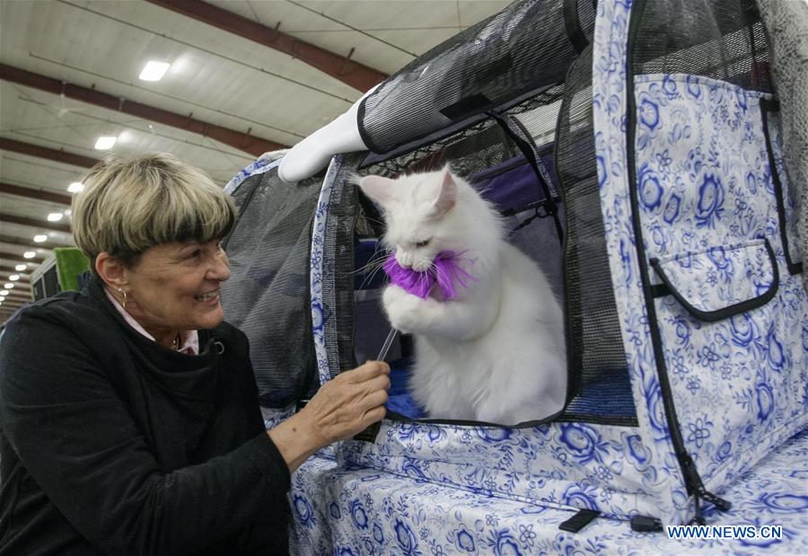 CANADA-VANCOUVER-CAT SHOW