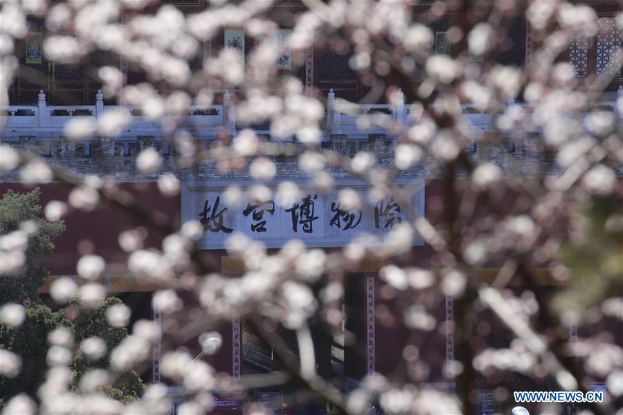 #CHINA-BEIJING-PEACH BLOSSOMS (CN)