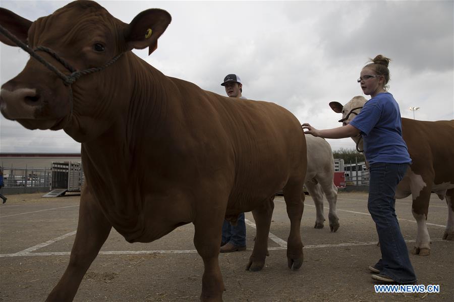 U.S.-HOUSTON-LIVESTOCK SHOW AND RODEO