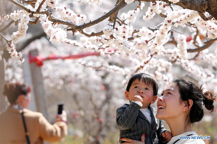 # CHINA-SPRING-SCENERY (CN)