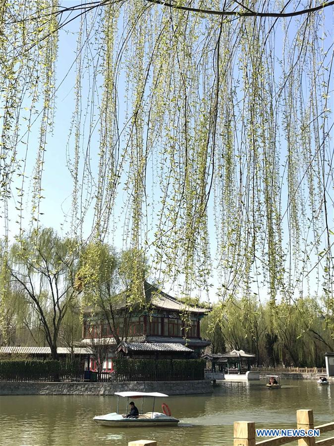 (BeijingCandid) CHINA-BEIJING-SPRING (CN)