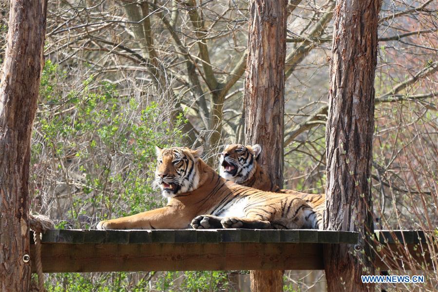 CZECH REPUBLIC-PRAGUE-ZOO