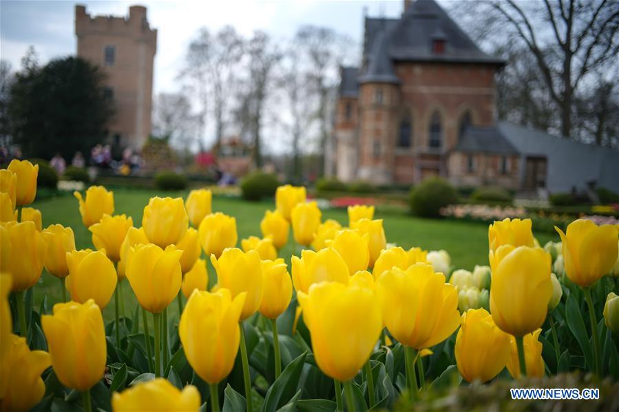 BELGIUM-BRUSSELS-FLOWER SHOW